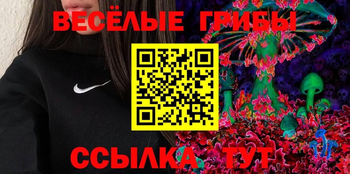 Галлюциногенные грибы прущие грибы  Галлюциногенные грибы прущие грибы  Бийск  Вход с VPN 