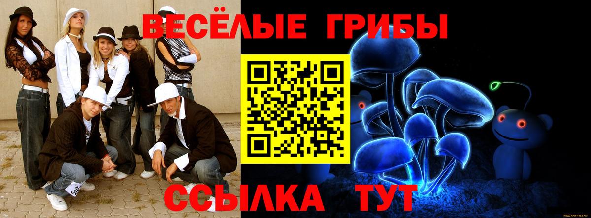 Псилоцибиновые грибы MAGIC MUSHROOMS Бийск