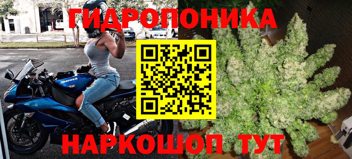 Бийск  Каннабис White Widow  Бошки марихуана White Widow  Вход с VPN  Канабис индика  Шишки марихуана Ganja 